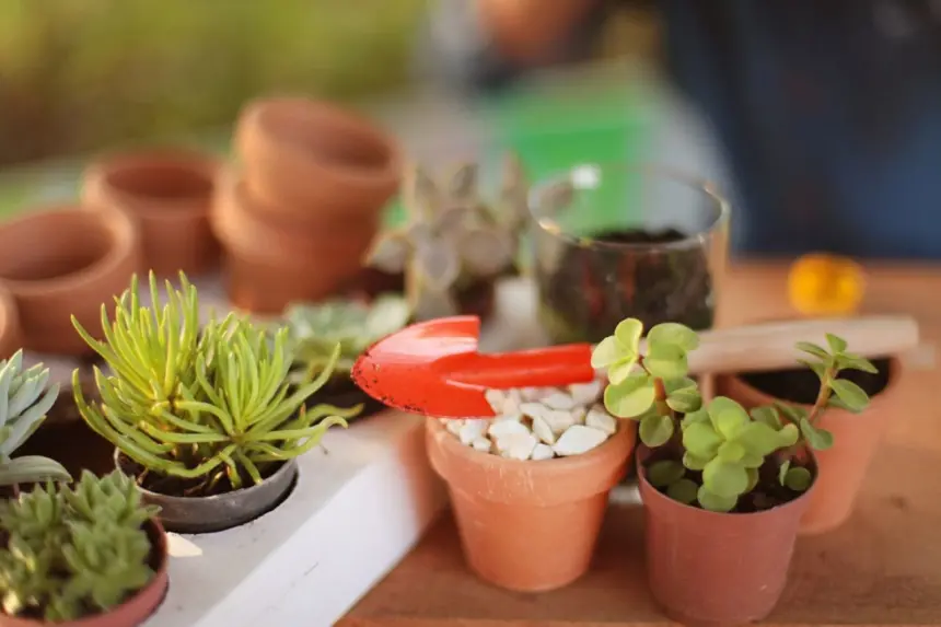 Oficina de jardinagem